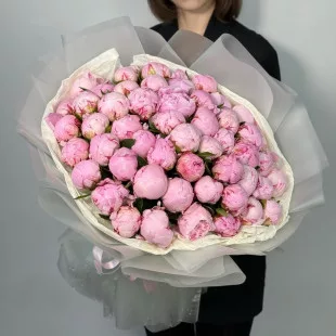 Букет из 51 пиона Sara