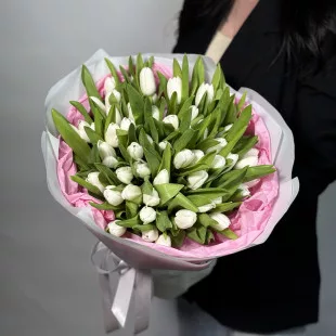 Моно букет из 51 белого тюльпана