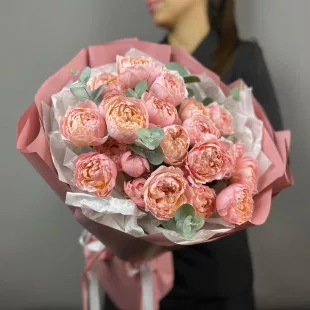 Персиковые розы Джульетта